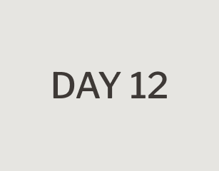 day 12