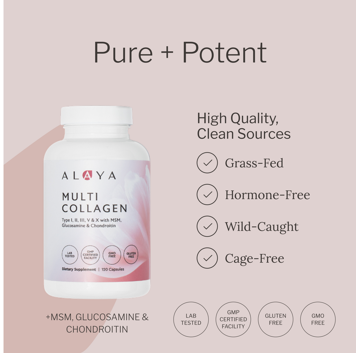 Multi Collagen Capsules